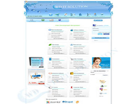 Voip Website Design with Custom CDR